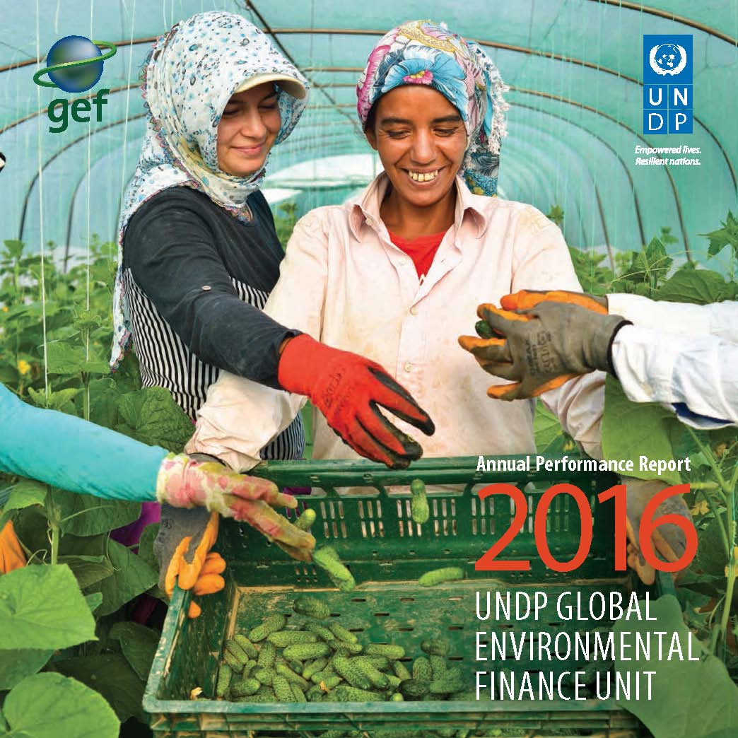 Pages from UNDP-GEF_Voices-of-Impact_25years_2016.jpg